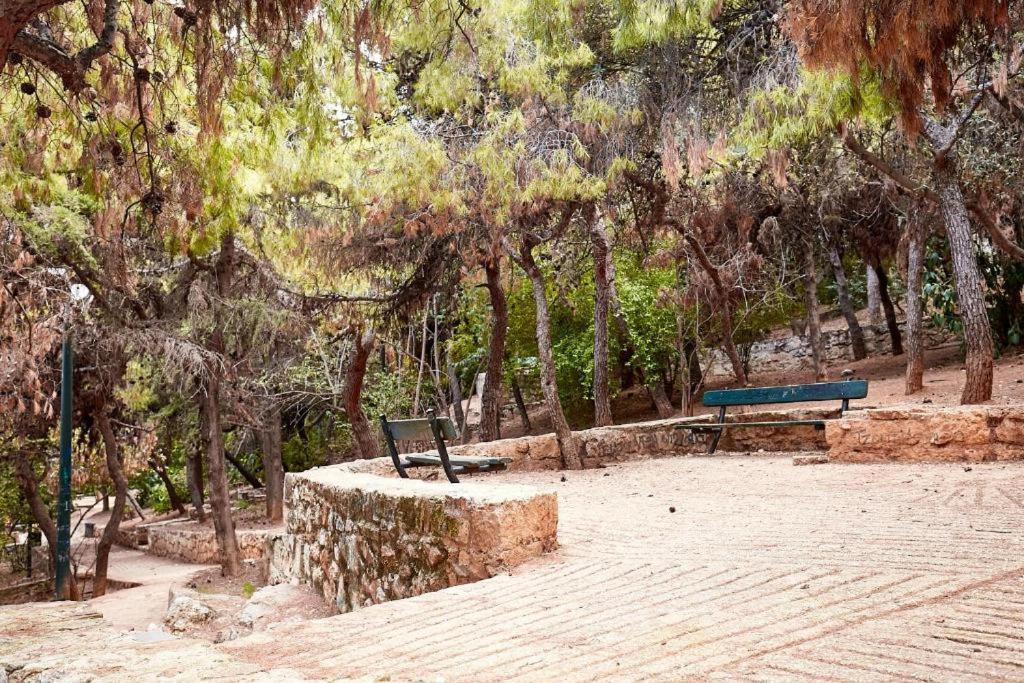 Myth1 Hike Around Kalimarmaron, Panathinaic Stadium And Big Alsos Park Appartement Athene Buitenkant foto
