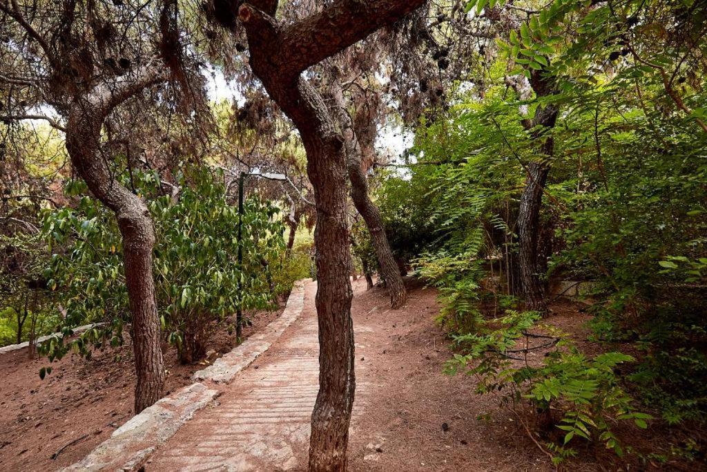 Myth1 Hike Around Kalimarmaron, Panathinaic Stadium And Big Alsos Park Appartement Athene Buitenkant foto